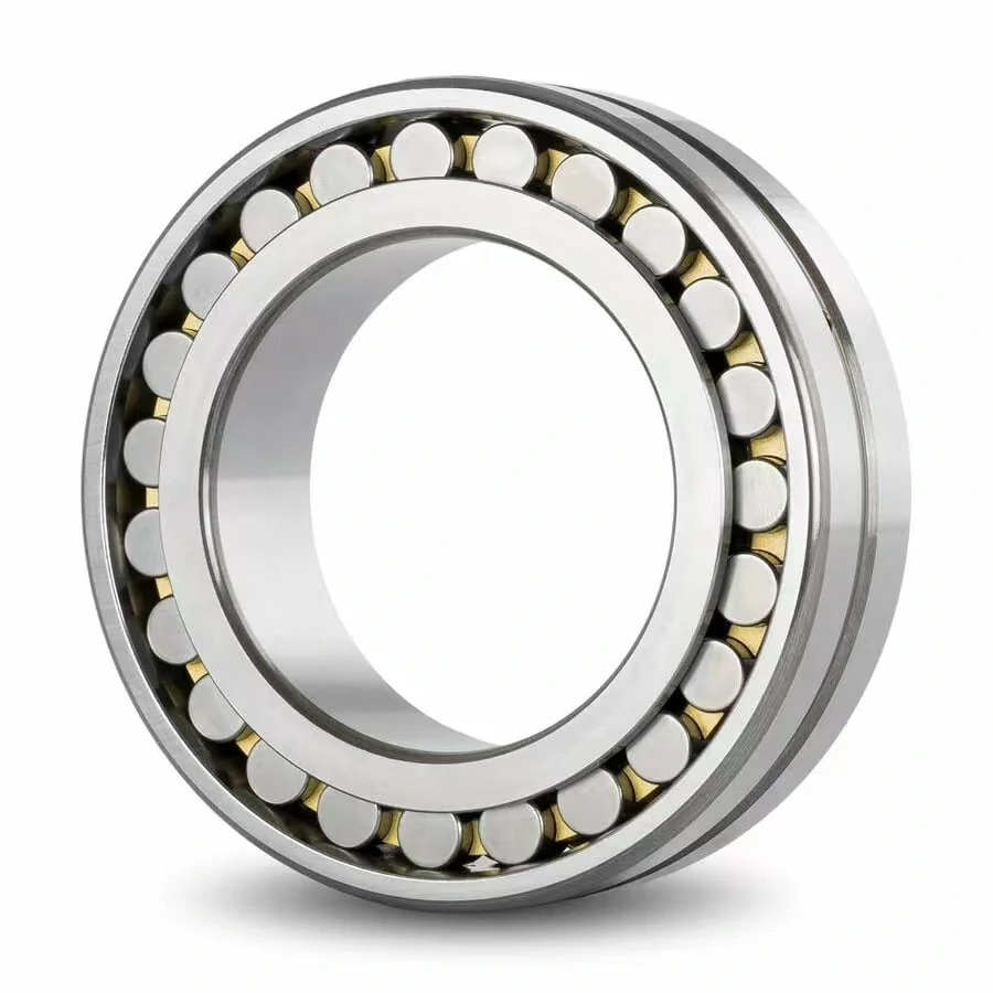 Double-Row Cylindrical Roller Bearings