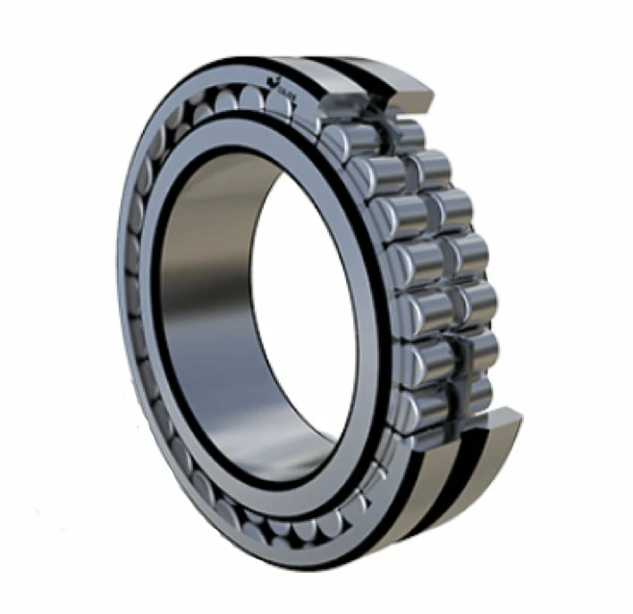 Double Row Full Complement Cylindrical Roller Bearings