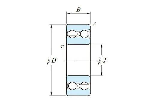 Double Row Deep Groove Ball Bearings